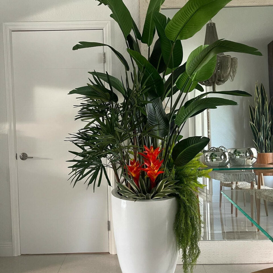 パ*ン様 tropical  Tropical Mix Plants in Glossy White Brannan Planter – Theleafylab