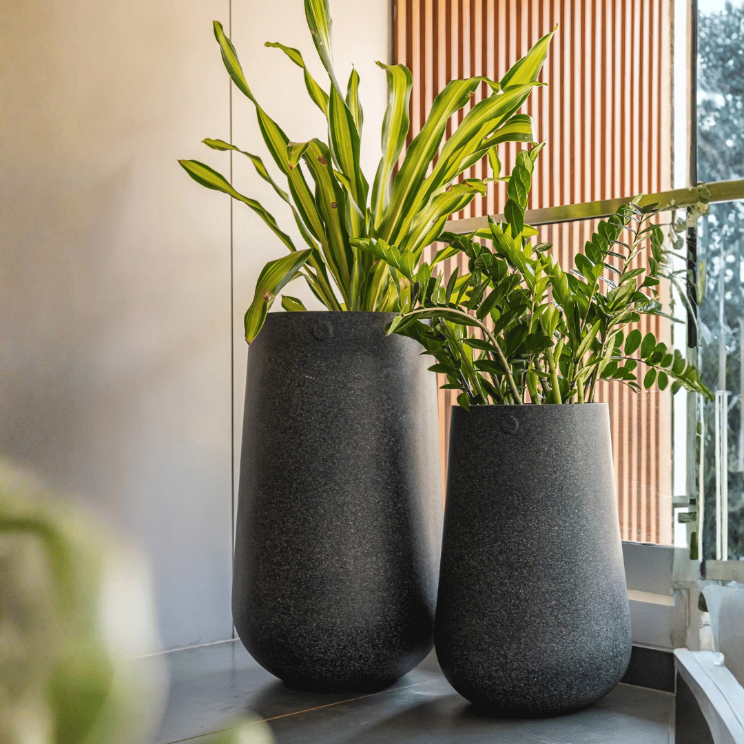 Shiza Designs Planter