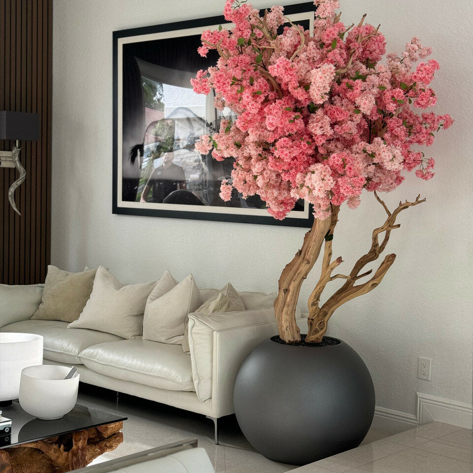Two Tone Cherry Blossom Tree With Globe Pot