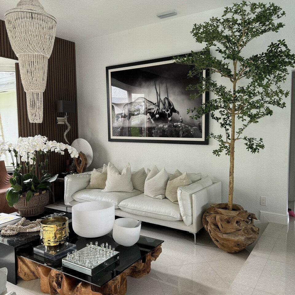 One of a Kind Teak Hand Carved Planter with 7′ Shady Lady Tree