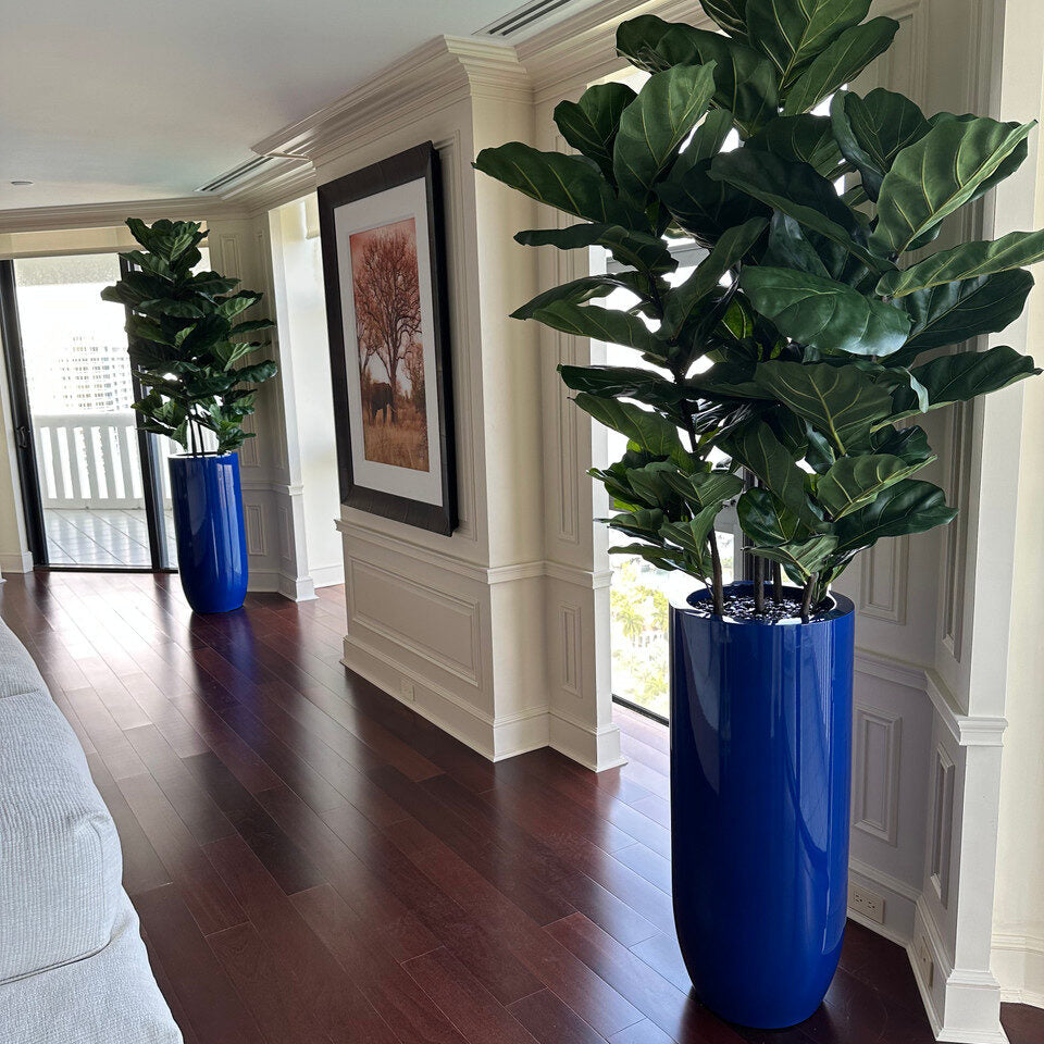 Fiddle Leaf Tree with Glossy Blue Planter