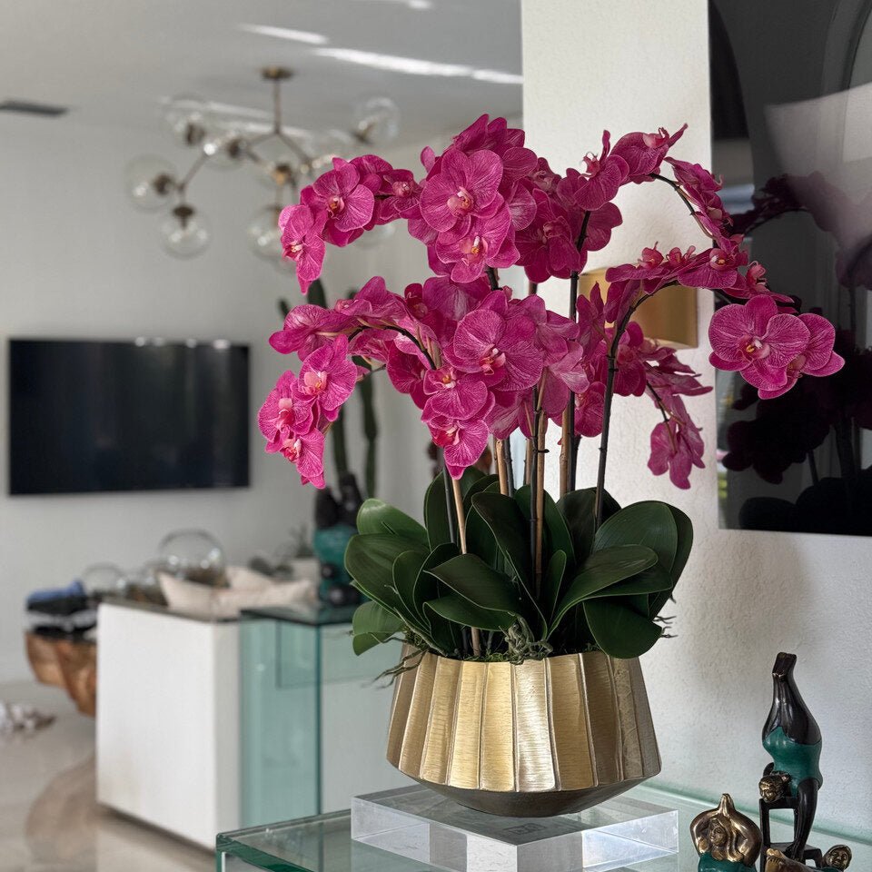 Boat Planter with Pink Phaleanopsis Orchids - Theleafylab