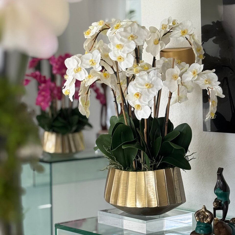 Boat Planter with White Phaleanopsis Orchids - Theleafylab