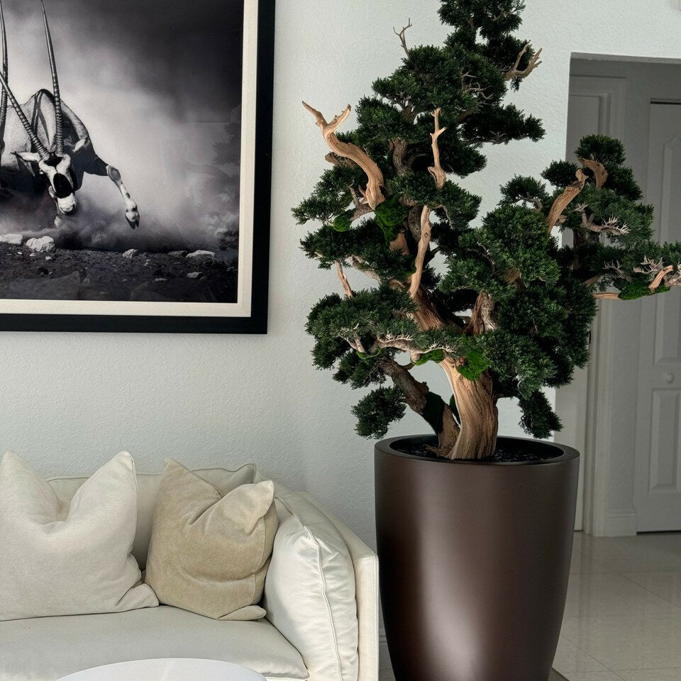 Bonsai in Matte Brown Planter - Theleafylab