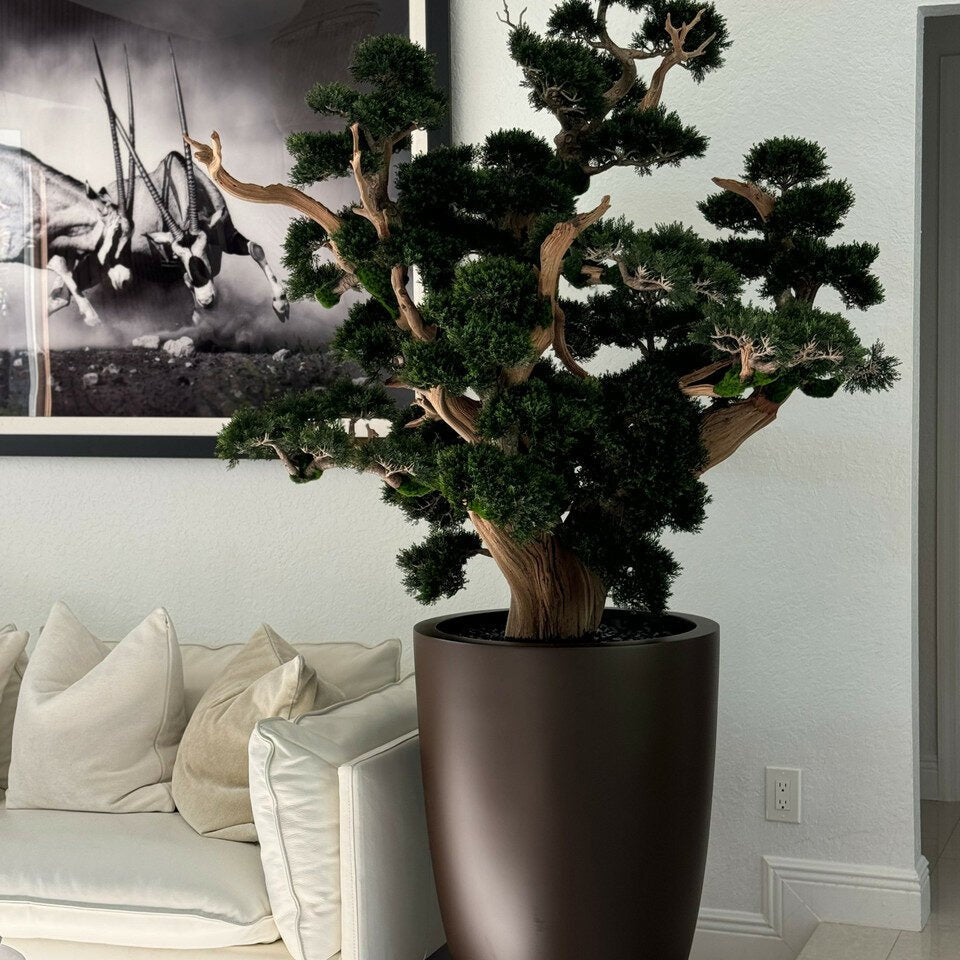 Bonsai in Matte Brown Planter - Theleafylab