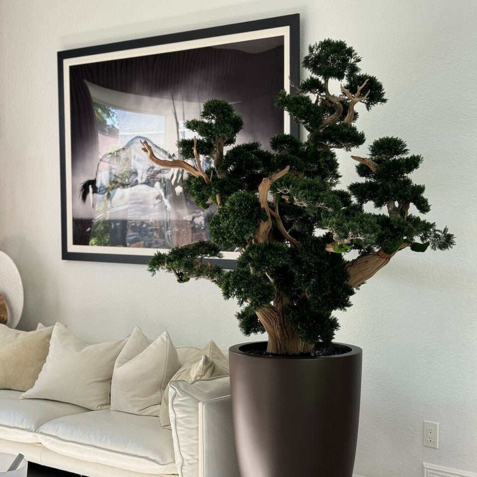 Bonsai in Matte Brown Planter - Theleafylab