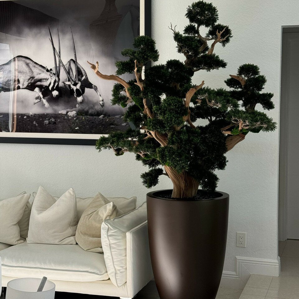 Bonsai in Matte Brown Planter - Theleafylab