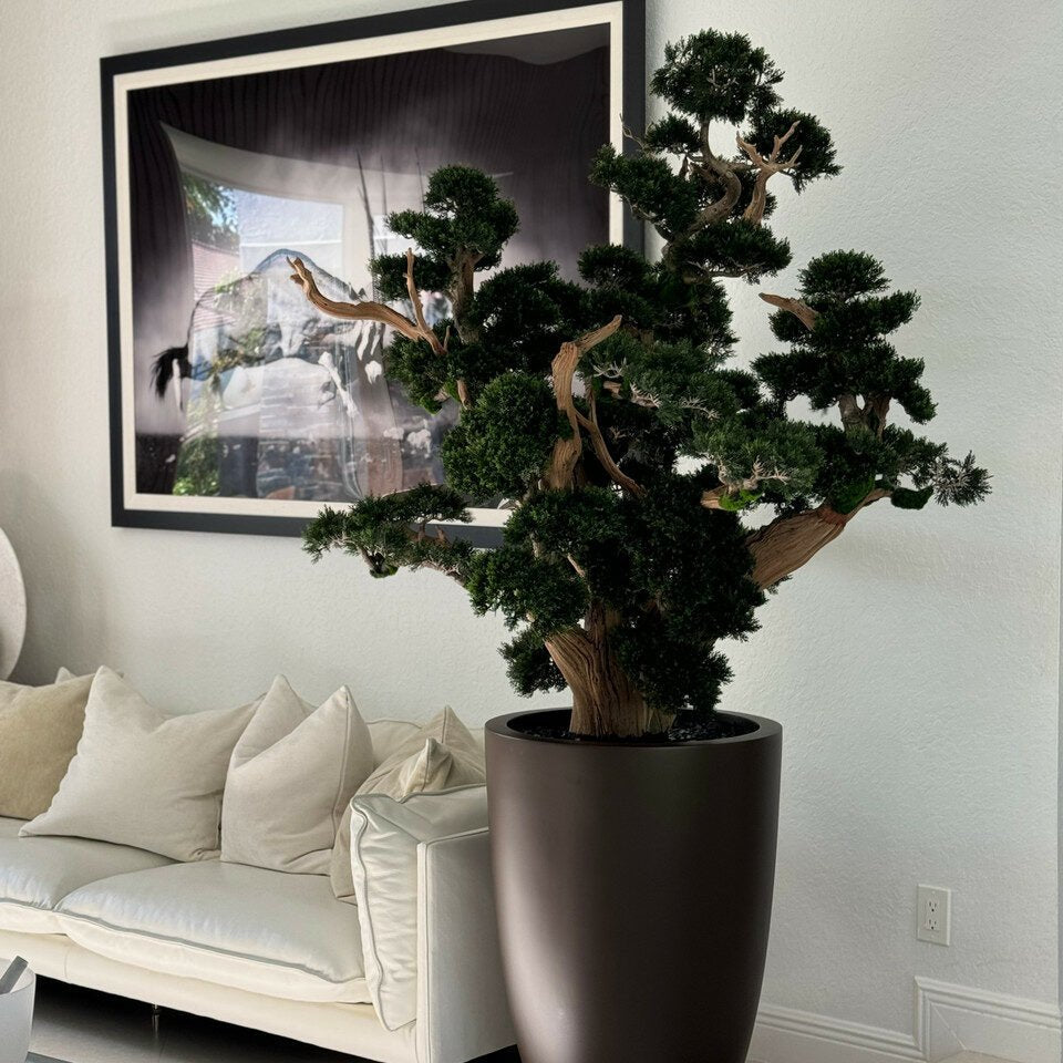 Bonsai in Matte Brown Planter - Theleafylab