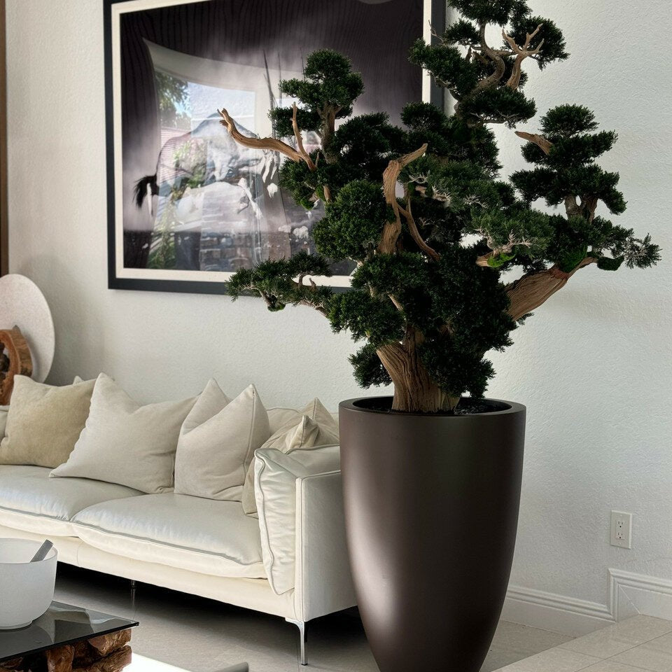 Bonsai in Matte Brown Planter - Theleafylab