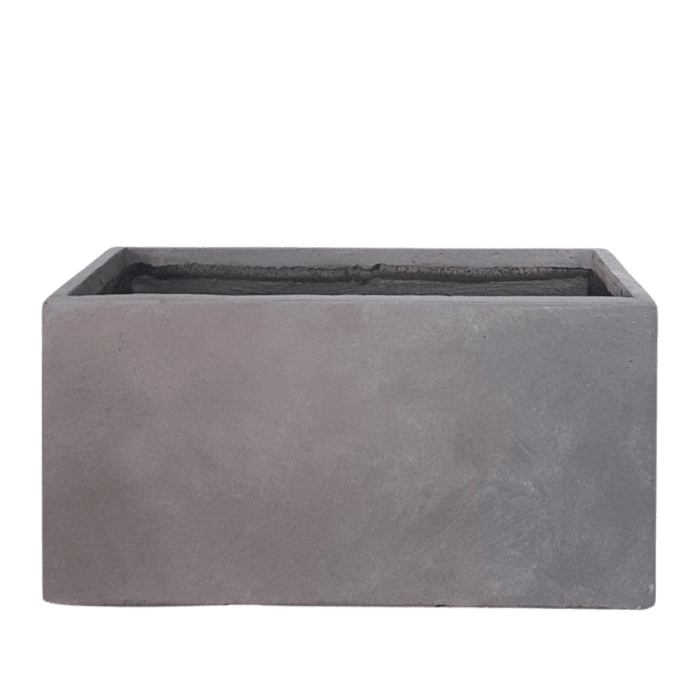 Rectangular – Grey Pot (Fiber Clay) | 3 Sizes - Theleafylab