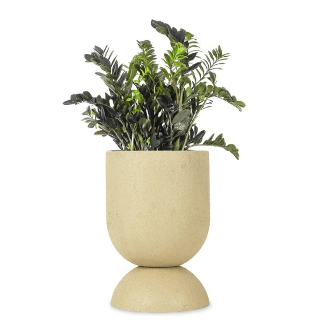Shiza Designs, Hourglass Planter - Theleafylab