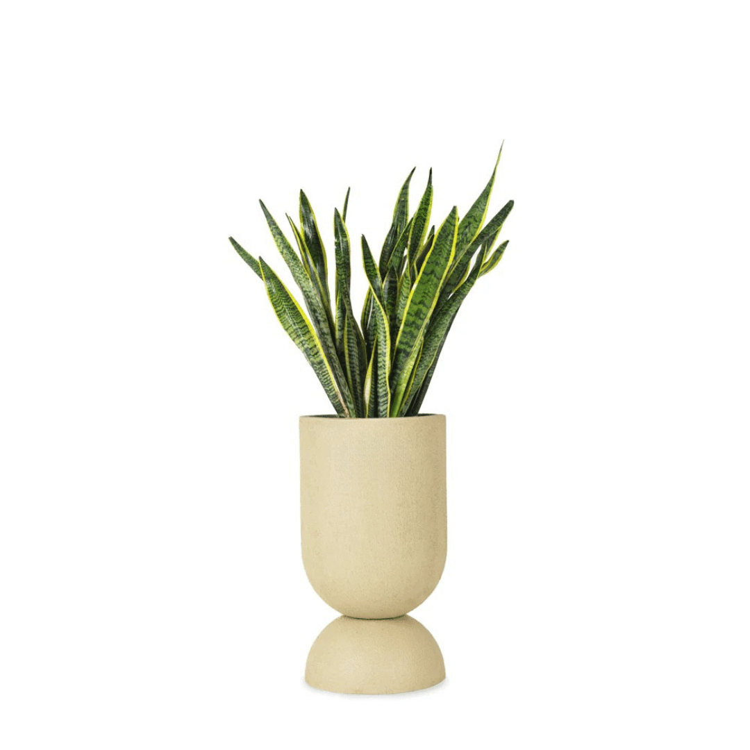 Shiza Designs, Hourglass Planter - Theleafylab