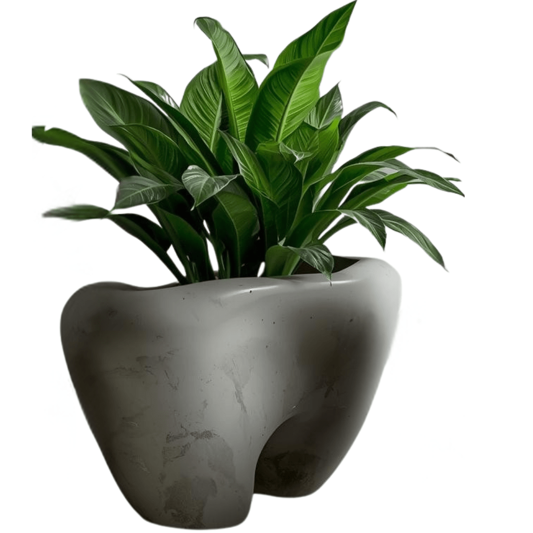 Shiza Designs, Plant Planters, Customizable - Theleafylab