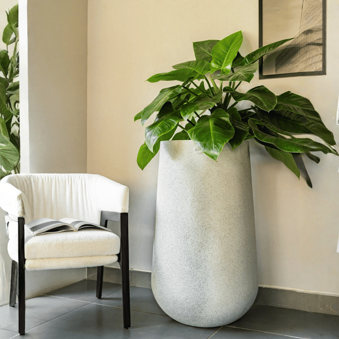 Shiza Designs Planter - Theleafylab