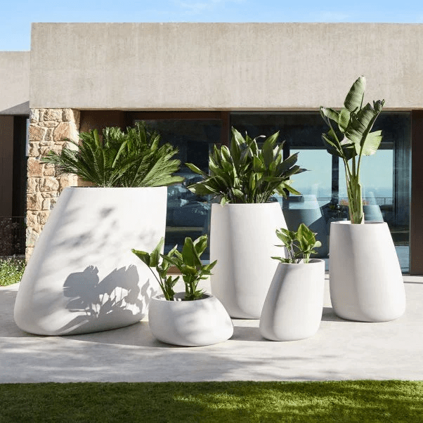 Shiza Planters - Theleafylab