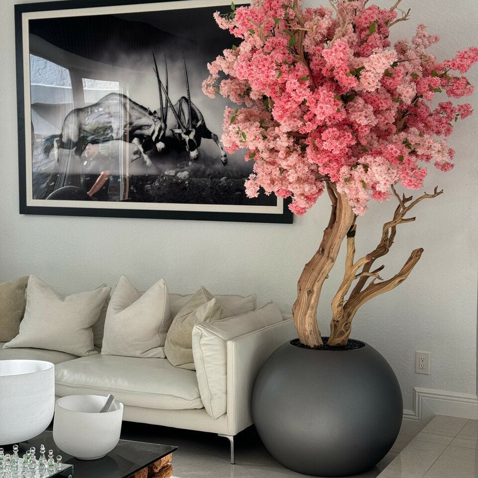 Two Tone Cherry Blossom Tree With Globe Pot - Theleafylab
