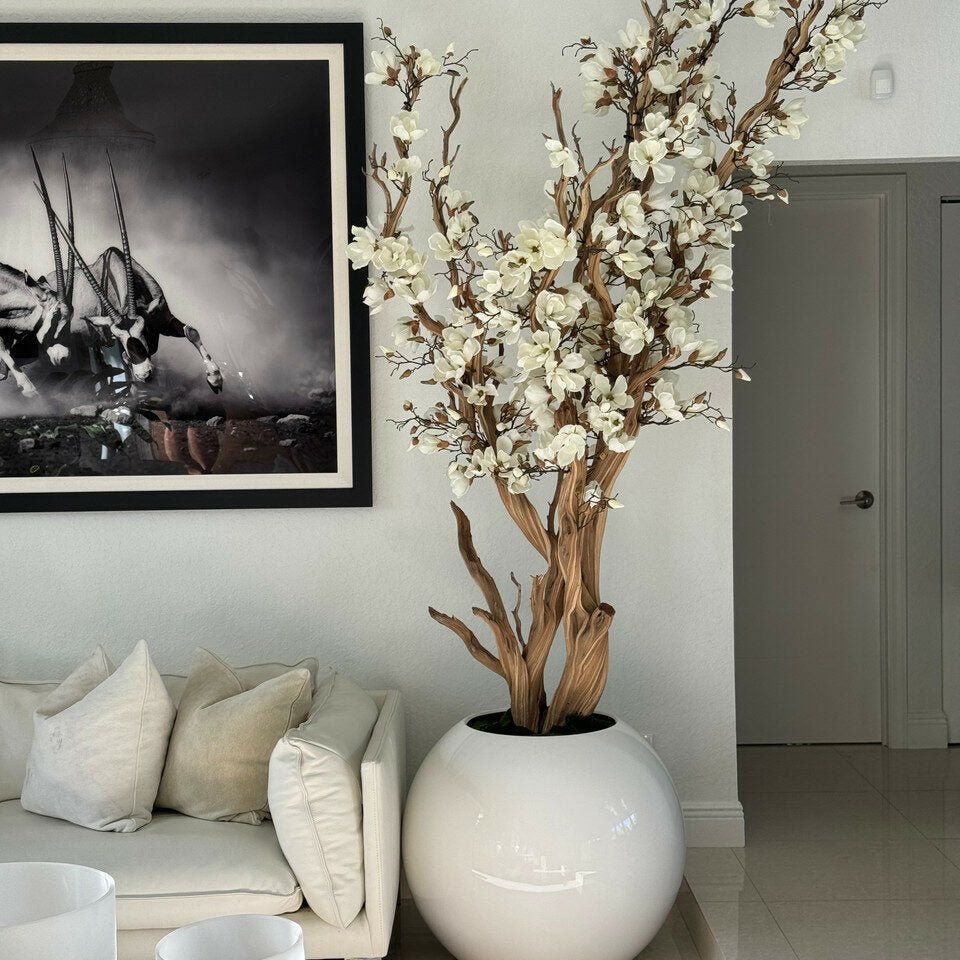 White Magnolia Tree in 30″ Glossy White Globe Planter - Theleafylab
