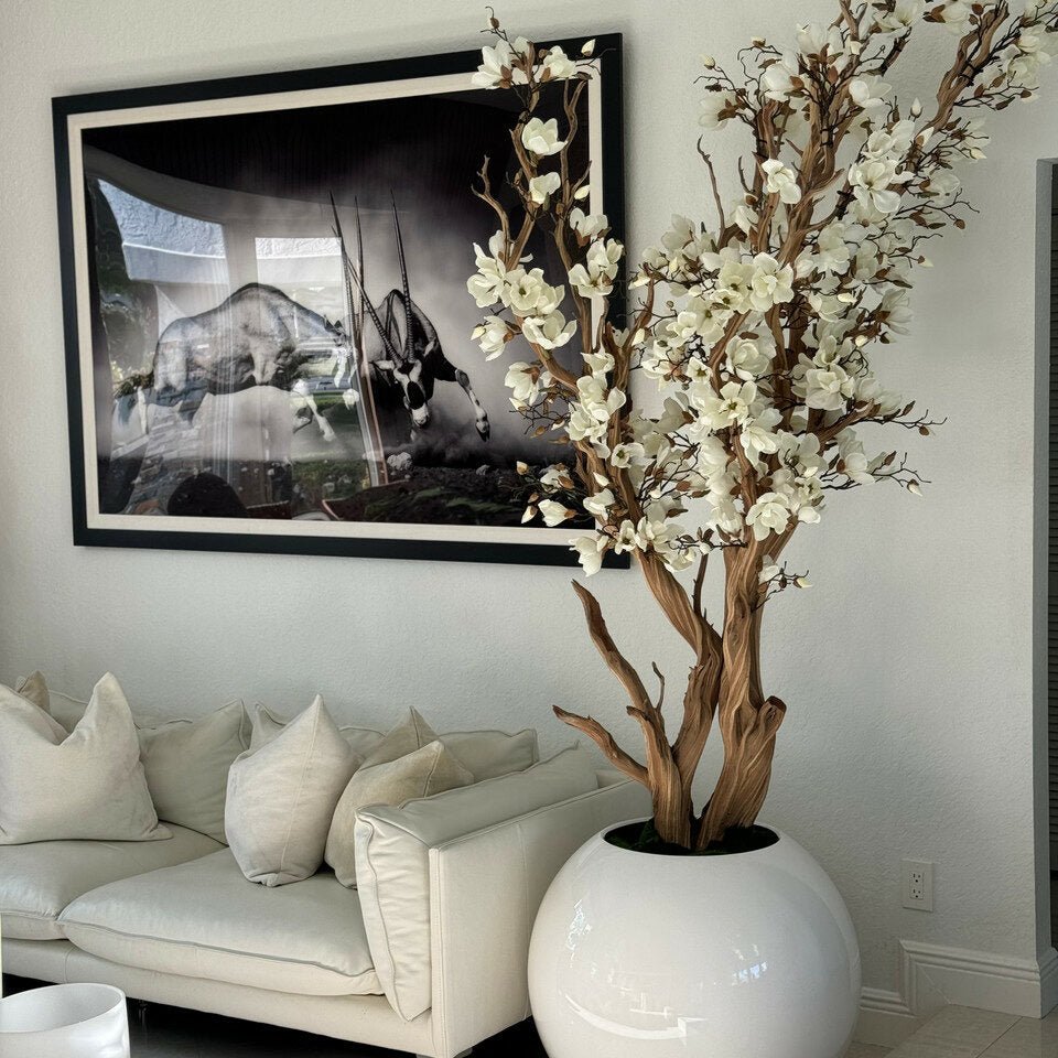 White Magnolia Tree in 30″ Glossy White Globe Planter - Theleafylab