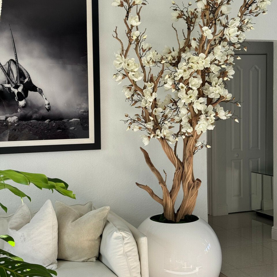 White Magnolia Tree in 30″ Glossy White Globe Planter - Theleafylab