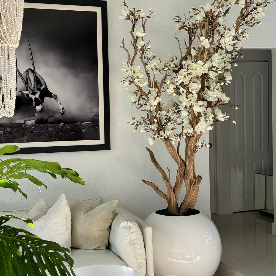 White Magnolia Tree in 30″ Glossy White Globe Planter - Theleafylab